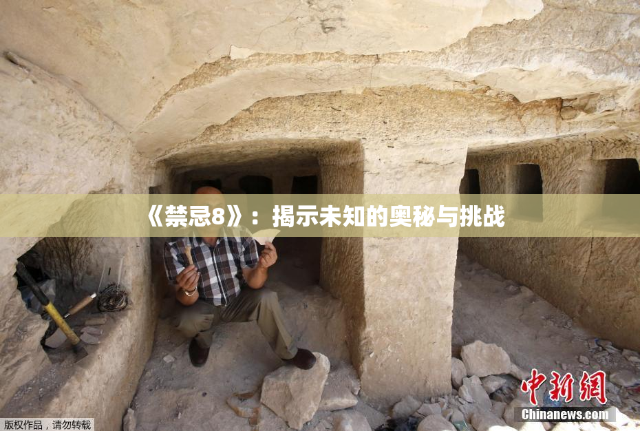 《禁忌8》：揭示未知的奥秘与挑战