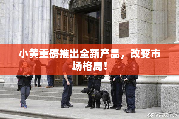 小黄重磅推出全新产品，改变市场格局！