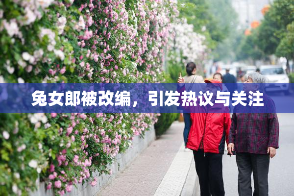 兔女郎被改编，引发热议与关注