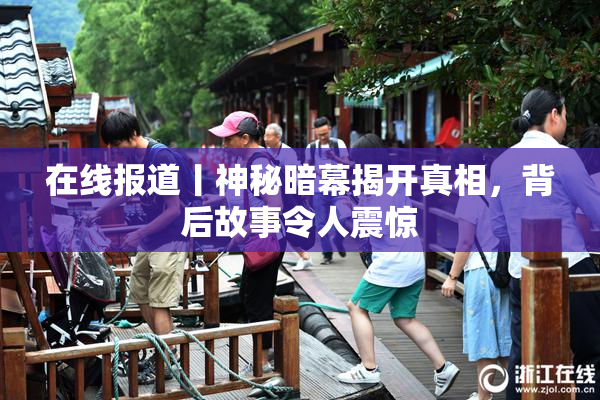 在线报道丨神秘暗幕揭开真相，背后故事令人震惊