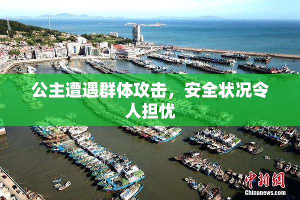公主遭遇群体攻击，安全状况令人担忧
