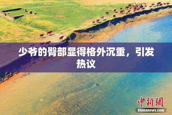 少爷的臀部显得格外沉重，引发热议