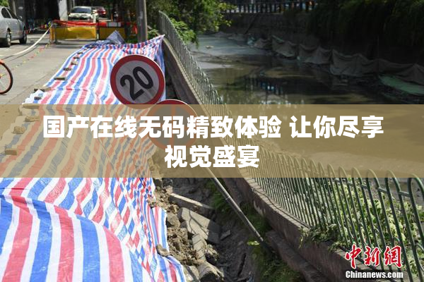 国产在线无码精致体验 让你尽享视觉盛宴