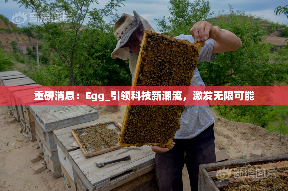 重磅消息：Egg_引领科技新潮流，激发无限可能
