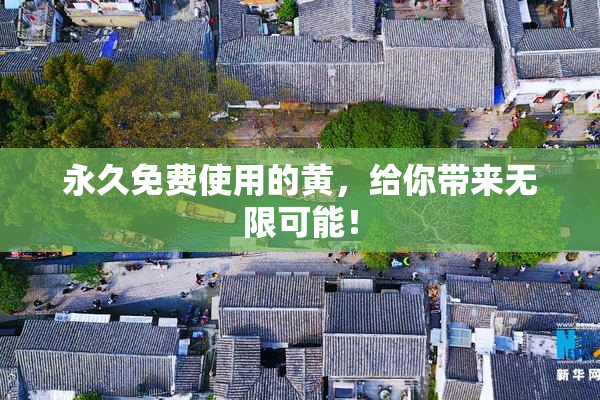 永久免费使用的黄，给你带来无限可能！