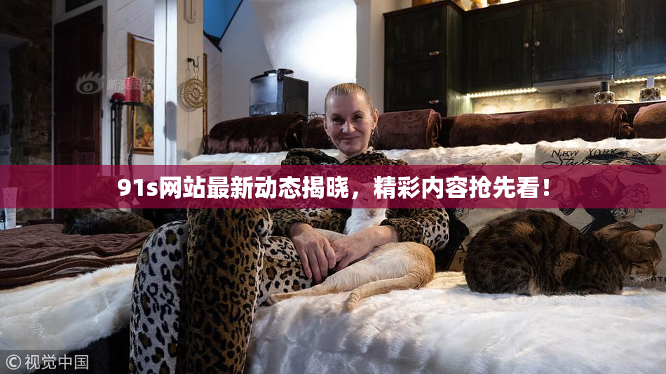 91s网站最新动态揭晓，精彩内容抢先看！