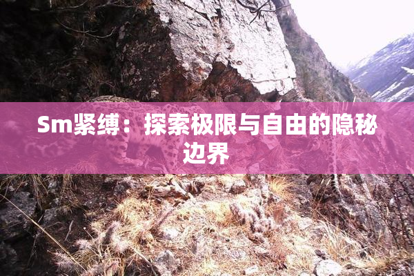 Sm紧缚：探索极限与自由的隐秘边界