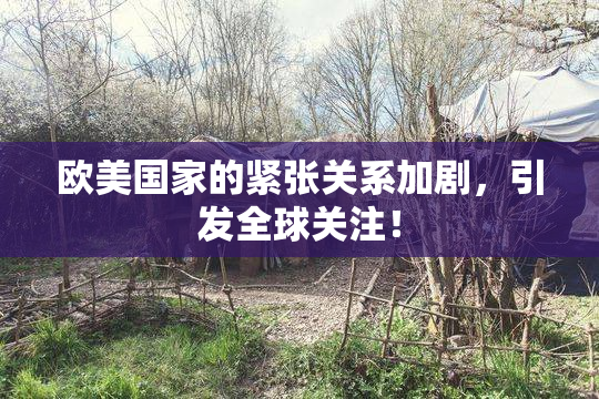 欧美国家的紧张关系加剧，引发全球关注！