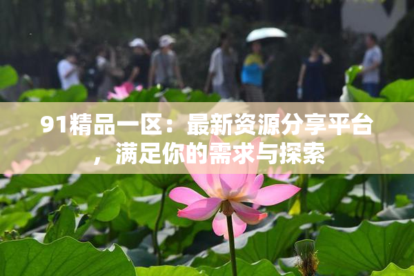 91精品一区：最新资源分享平台，满足你的需求与探索