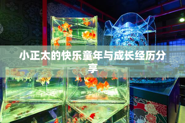 小正太的快乐童年与成长经历分享