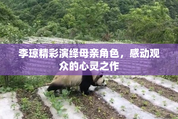 李琼精彩演绎母亲角色，感动观众的心灵之作