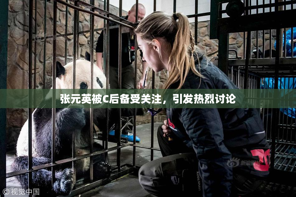 张元英被C后备受关注，引发热烈讨论