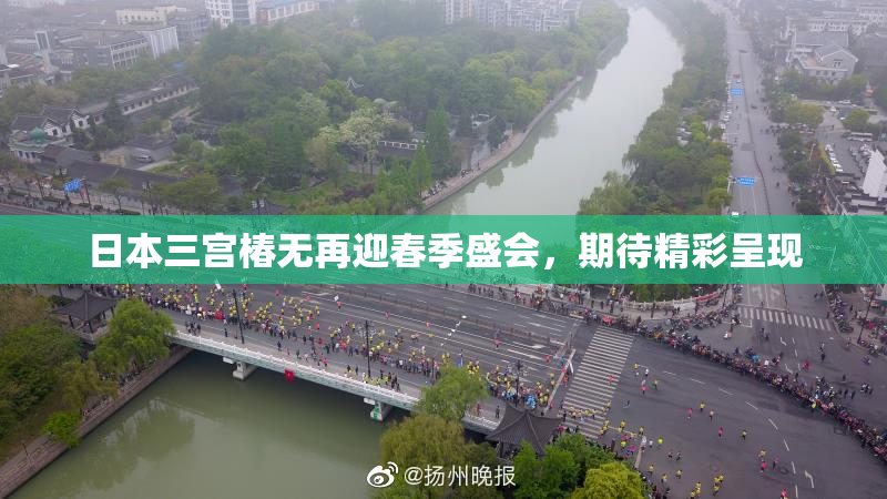 日本三宫椿无再迎春季盛会，期待精彩呈现