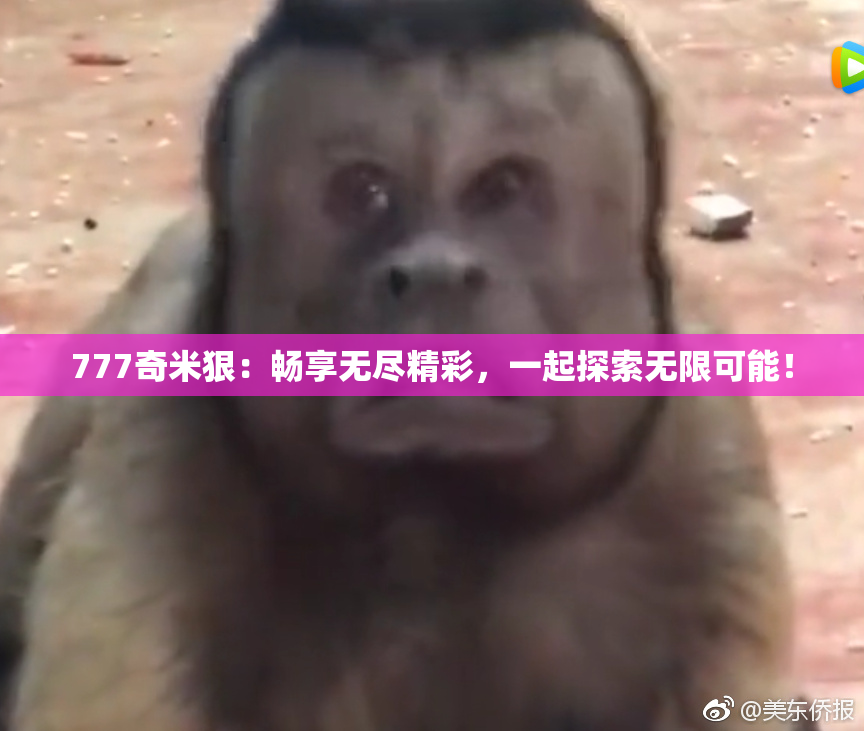 777奇米狠：畅享无尽精彩，一起探索无限可能！