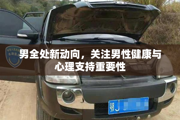 男全处新动向，关注男性健康与心理支持重要性