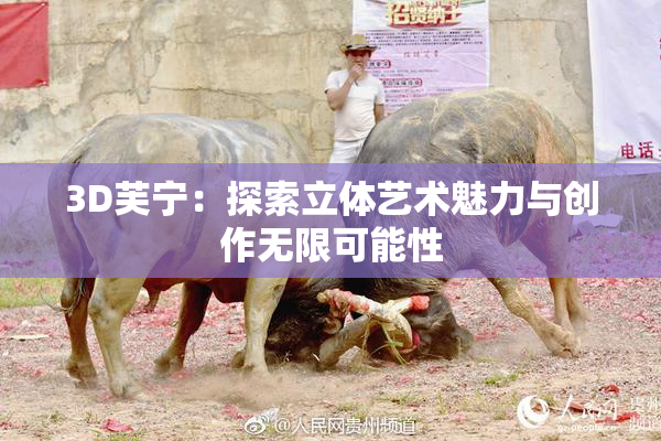 3D芙宁：探索立体艺术魅力与创作无限可能性