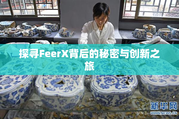 探寻FeerX背后的秘密与创新之旅
