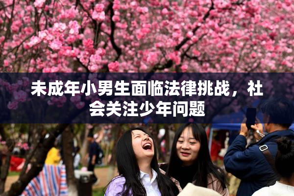 未成年小男生面临法律挑战，社会关注少年问题