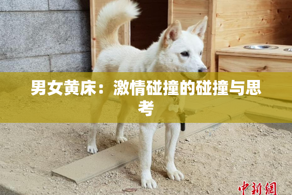 男女黄床：激情碰撞的碰撞与思考