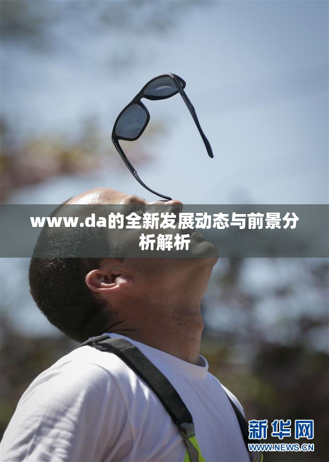 www.da的全新发展动态与前景分析解析