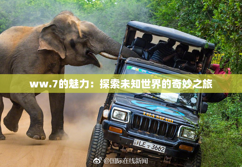 ww.7的魅力：探索未知世界的奇妙之旅