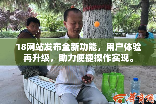 18网站发布全新功能，用户体验再升级，助力便捷操作实现。