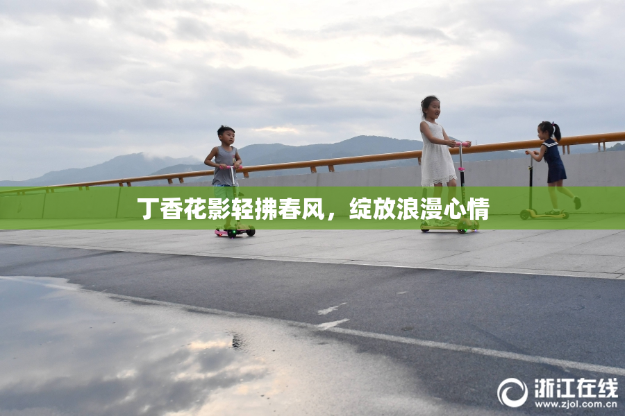 丁香花影轻拂春风，绽放浪漫心情