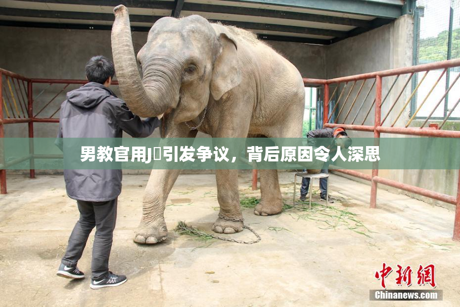 男教官用J亅引发争议，背后原因令人深思