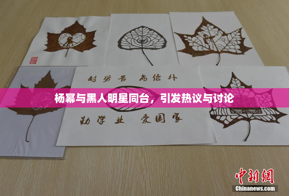 杨幂与黑人明星同台，引发热议与讨论