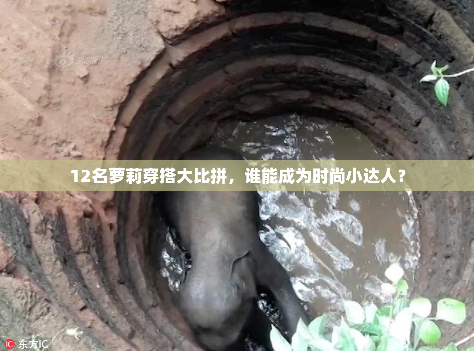 12名萝莉穿搭大比拼，谁能成为时尚小达人？