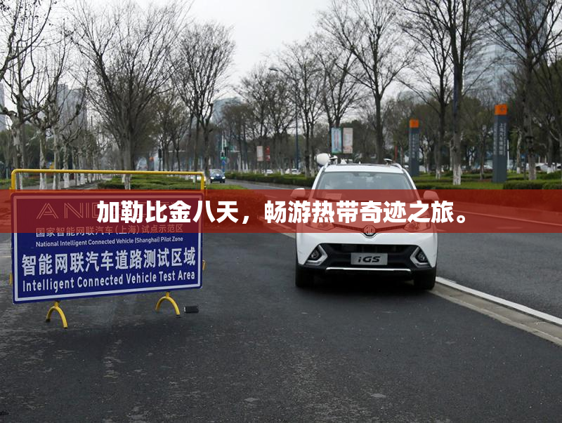 加勒比金八天，畅游热带奇迹之旅。