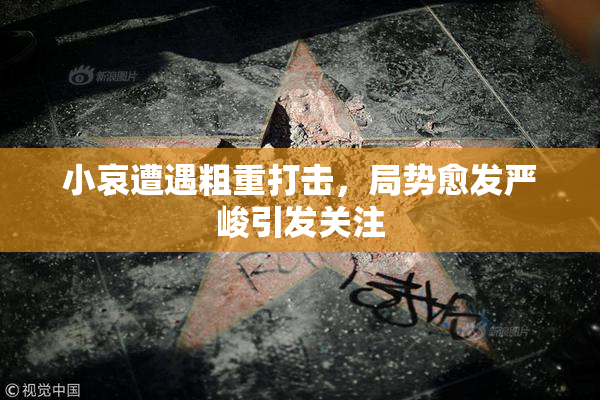 小哀遭遇粗重打击，局势愈发严峻引发关注
