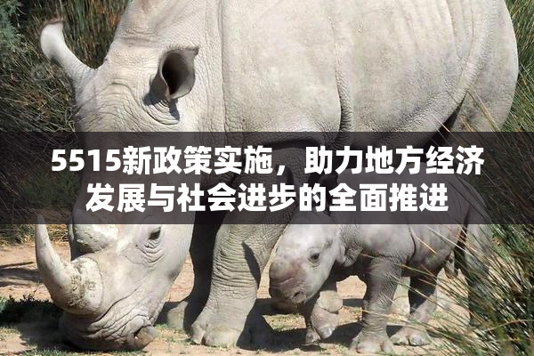 5515新政策实施，助力地方经济发展与社会进步的全面推进