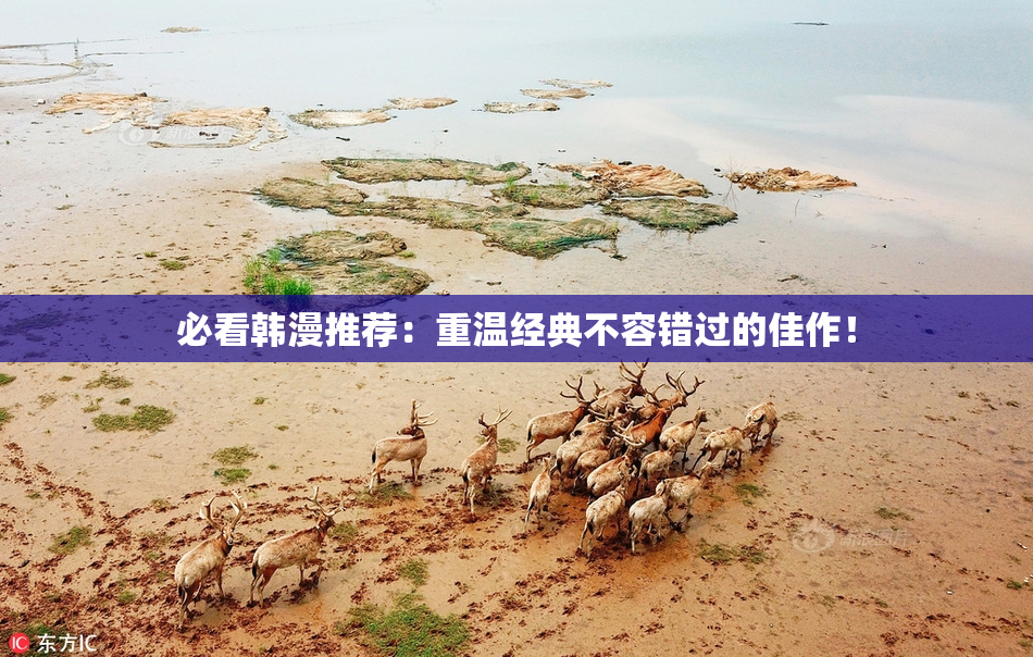 必看韩漫推荐：重温经典不容错过的佳作！