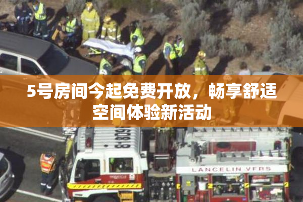 5号房间今起免费开放，畅享舒适空间体验新活动