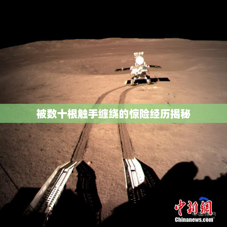 被数十根触手缠绕的惊险经历揭秘