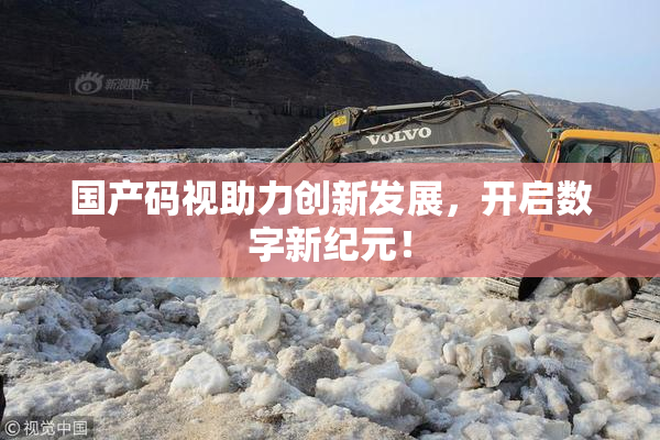 国产码视助力创新发展，开启数字新纪元！