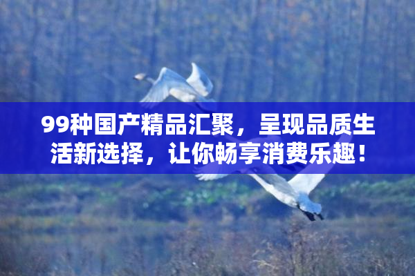 99种国产精品汇聚，呈现品质生活新选择，让你畅享消费乐趣！