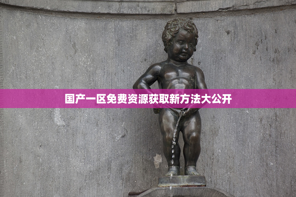 国产一区免费资源获取新方法大公开