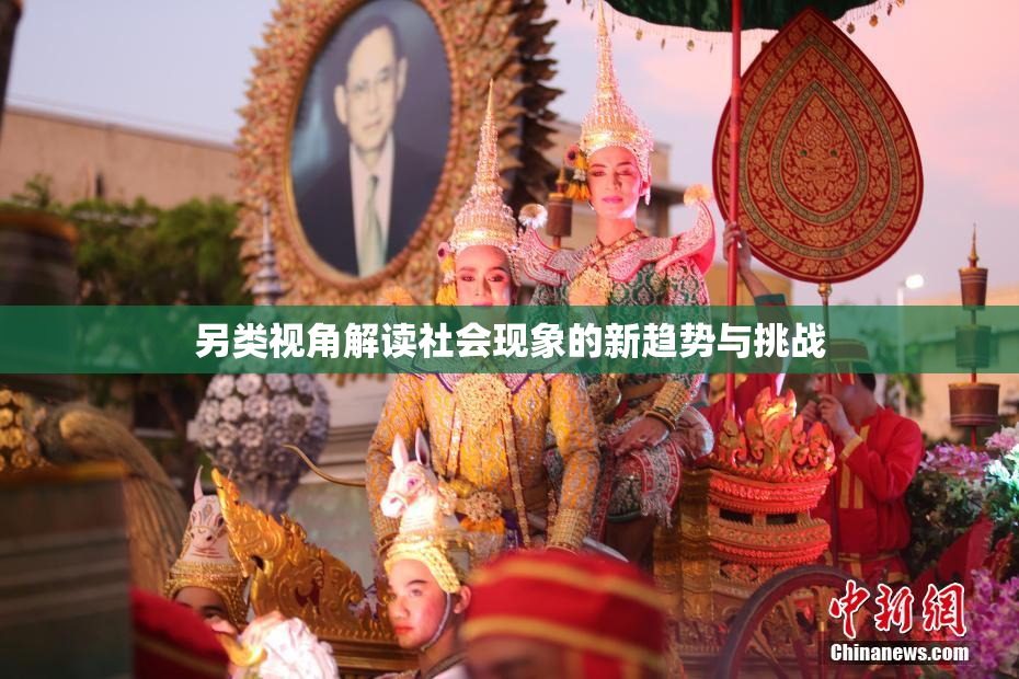 另类视角解读社会现象的新趋势与挑战