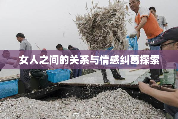 女人之间的关系与情感纠葛探索