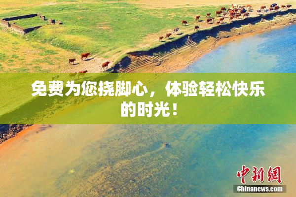 免费为您挠脚心，体验轻松快乐的时光！