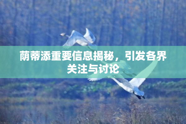 荫蒂添重要信息揭秘，引发各界关注与讨论