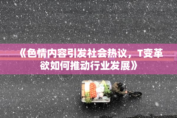 《色情内容引发社会热议，T变革欲如何推动行业发展》