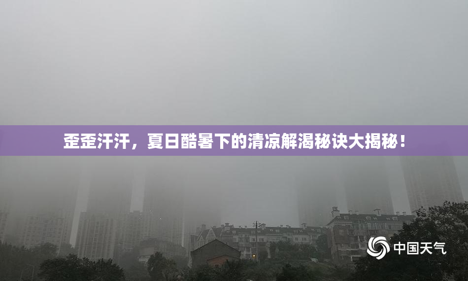 歪歪汗汗，夏日酷暑下的清凉解渴秘诀大揭秘！