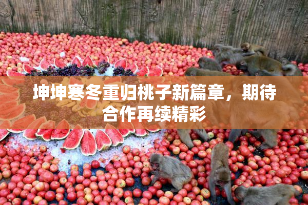 坤坤寒冬重归桃子新篇章，期待合作再续精彩