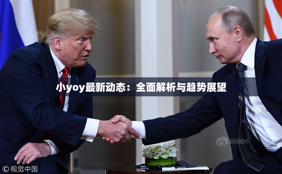 小yoy最新动态：全面解析与趋势展望