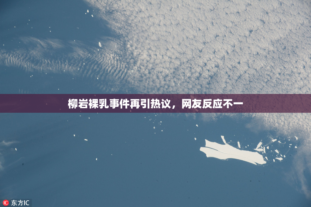 柳岩裸乳事件再引热议，网友反应不一