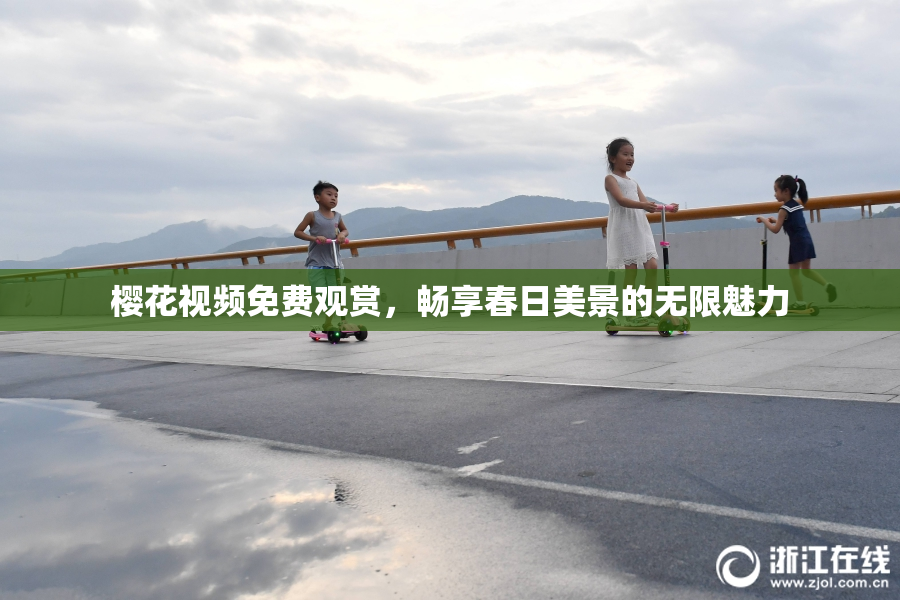 樱花视频免费观赏，畅享春日美景的无限魅力