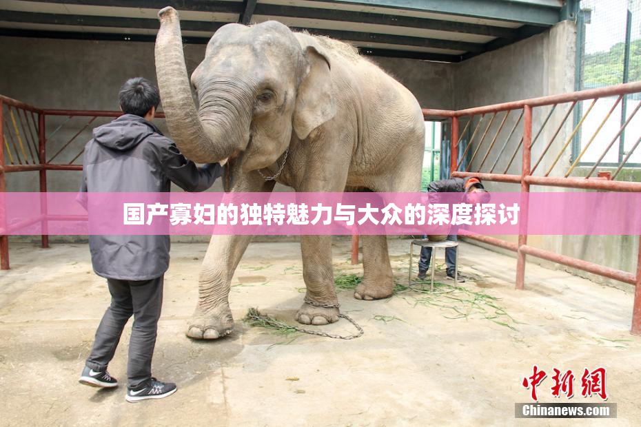 国产寡妇的独特魅力与大众的深度探讨